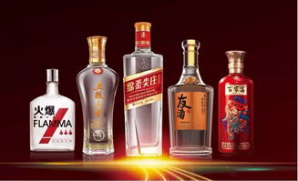 朋友圈再次擴大 時代汽車與五糧液系列酒公司達成戰(zhàn)略合作共識，共拓跨界食品銷售新路徑